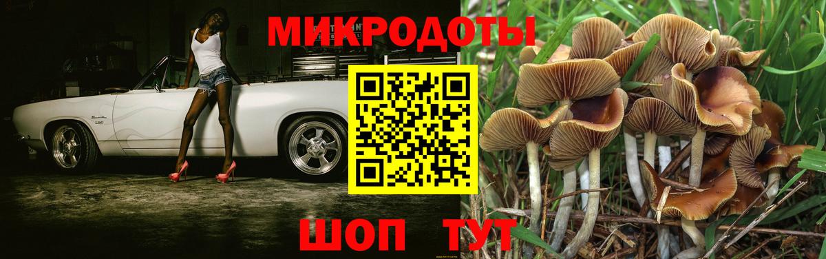 Менделеевск  Галлюциногенные грибы мухоморы  Псилоцибиновые грибы Cubensis  Вход с VPN 