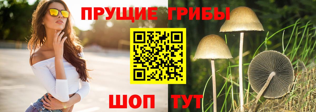Псилоцибиновые грибы мухоморы Менделеевск